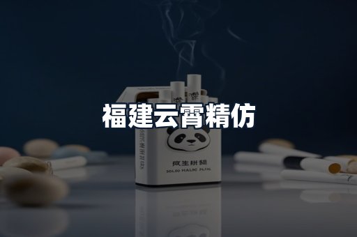 福建云霄精仿